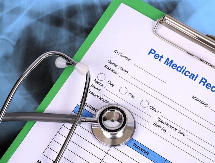 Pet Portal Mountain Shadow Veterinary Hospital