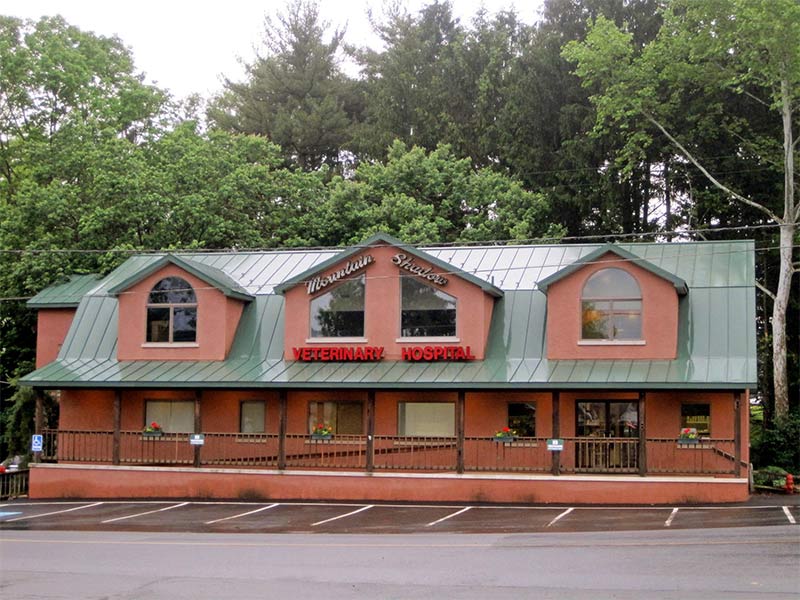 veterinary hospital in Schuylkill Haven